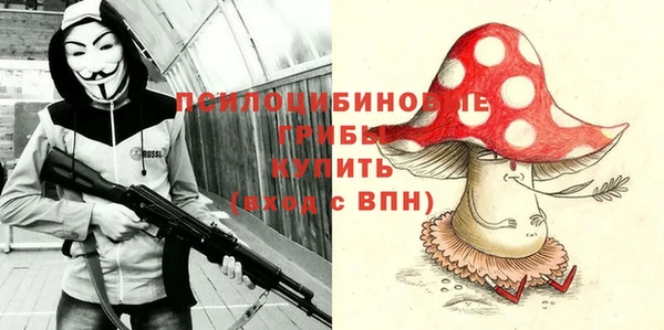 дмт Лагань