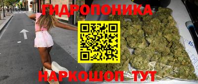 PSILOCYBIN Канаш