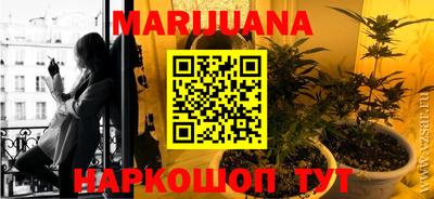 PSILOCYBIN Канаш