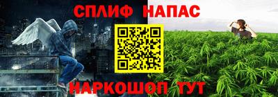 PSILOCYBIN Канаш