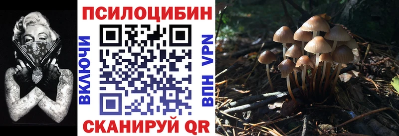 Галлюциногенные грибы прущие грибы  как найти   Оренбург 