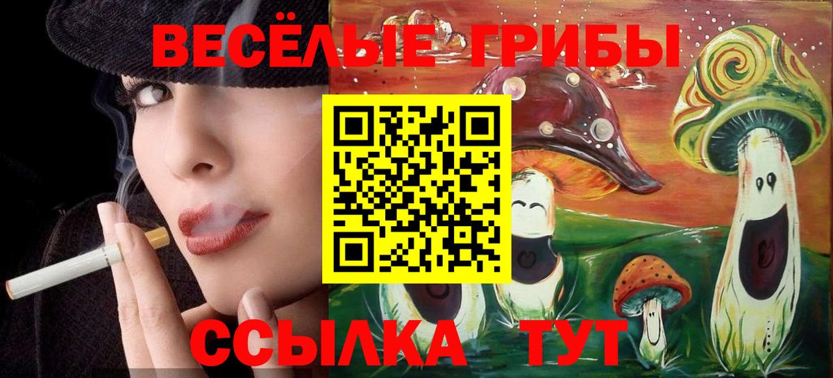 Оренбург  Псилоцибиновые грибы ЛСД  Вход с VPN 